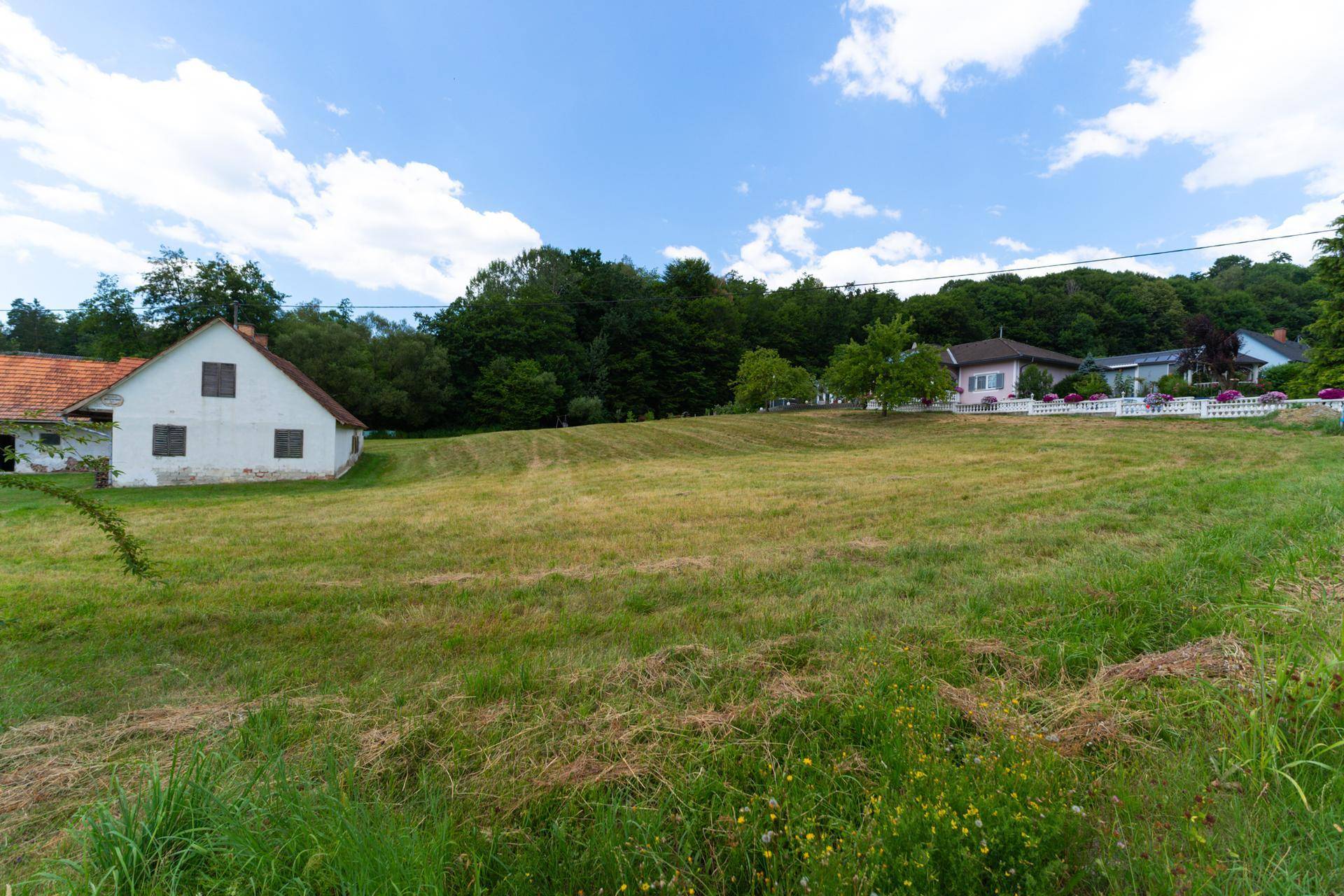 Weitläufiges Feld mit einem traditionellen Haus und modernen Wohnhäusern am Waldrand.