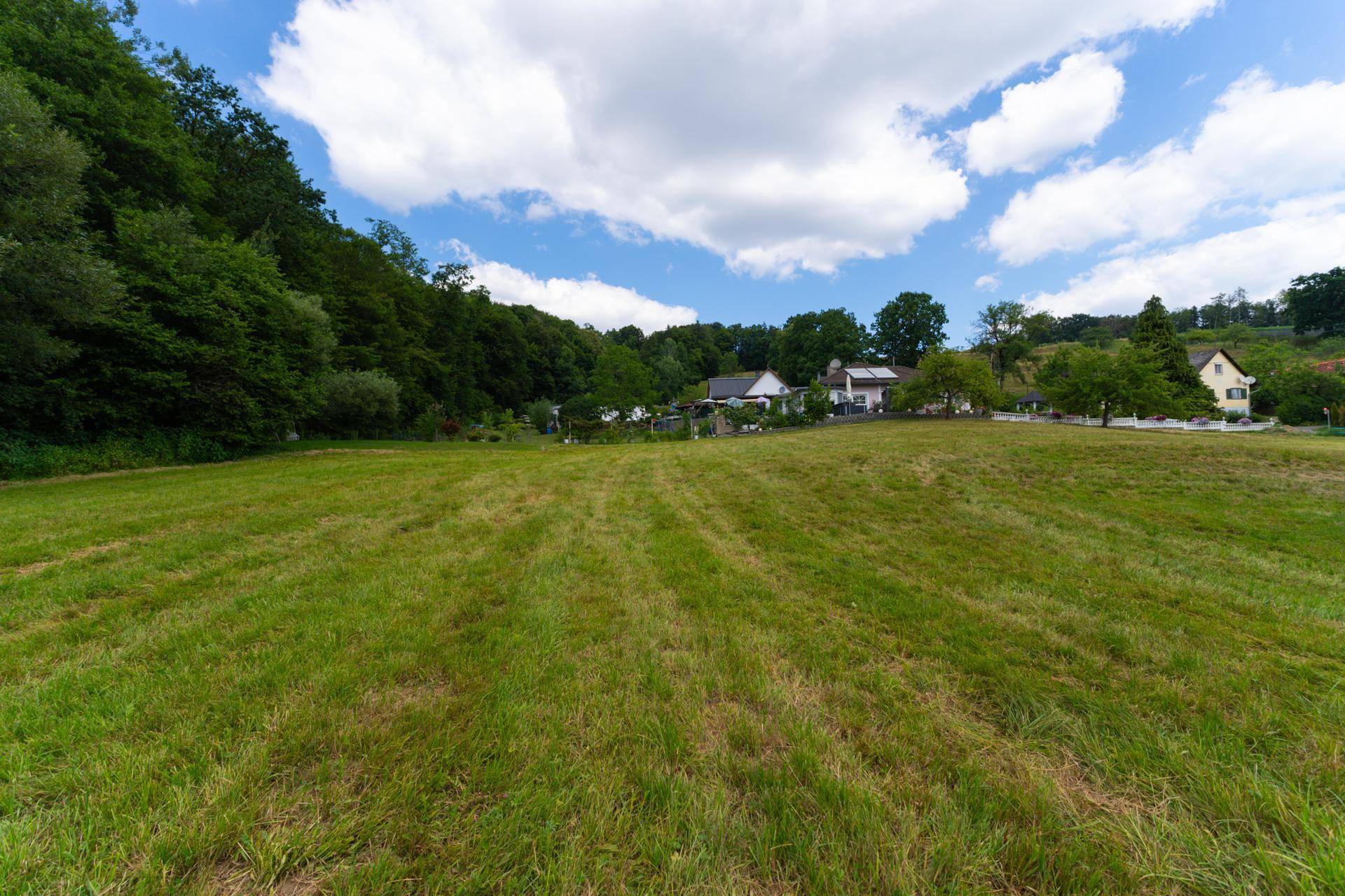 Weitläufiges grünes Feld mit Wohnhäusern und dichtem Wald im Hintergrund unter blauem Himmel.