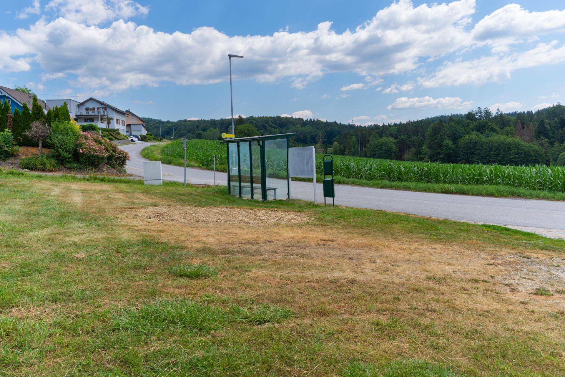 Bushaltestelle an einer Landstraße mit weitem Blick auf ein Maisfeld und bewaldete Hügel.
