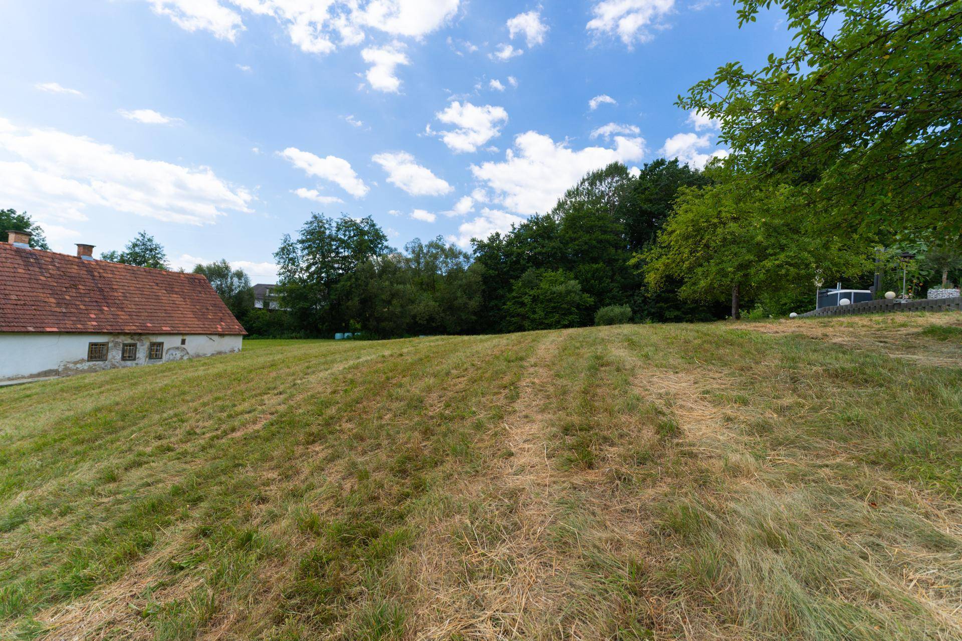 Grüne Wiese mit leichter Hanglage, einem alten Gebäude und Wald im Hintergrund.