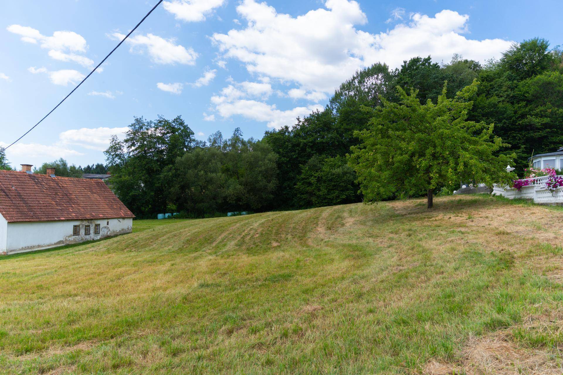 Grüne Wiese mit einem alten Haus, einem Baum und weiteren Gebäuden am Horizont.