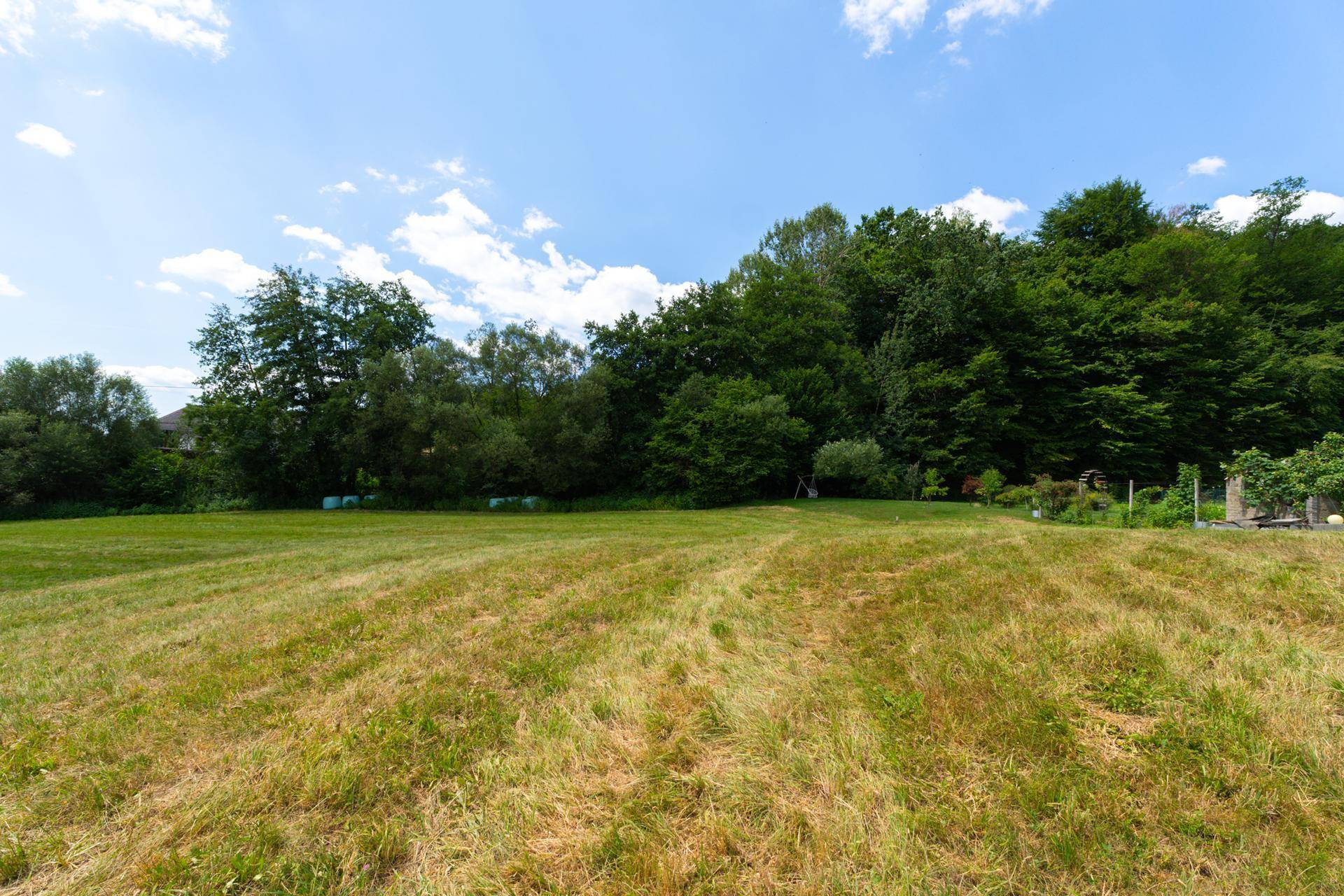 Großes, offenes Feld mit üppiger grüner Vegetation und Waldrand unter klarem Himmel.