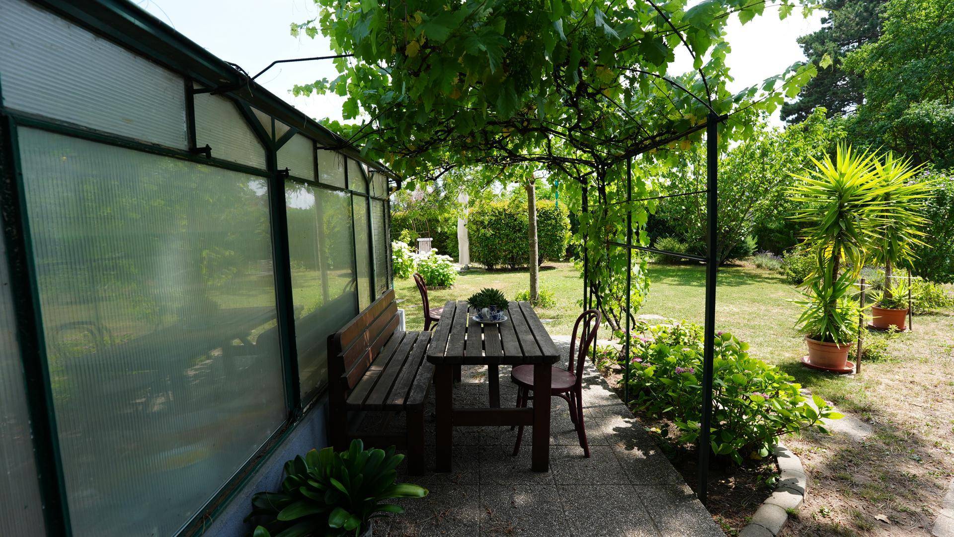 Gemütlicher Essbereich im Freien unter einer mit Weinreben bewachsenen Pergola im Garten.