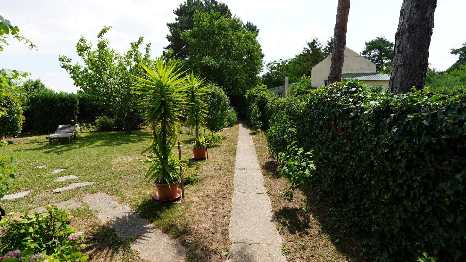 Langer Gartenweg, gesäumt von hohen Hecken und dekorativen Pflanzen, führt durch den Garten.