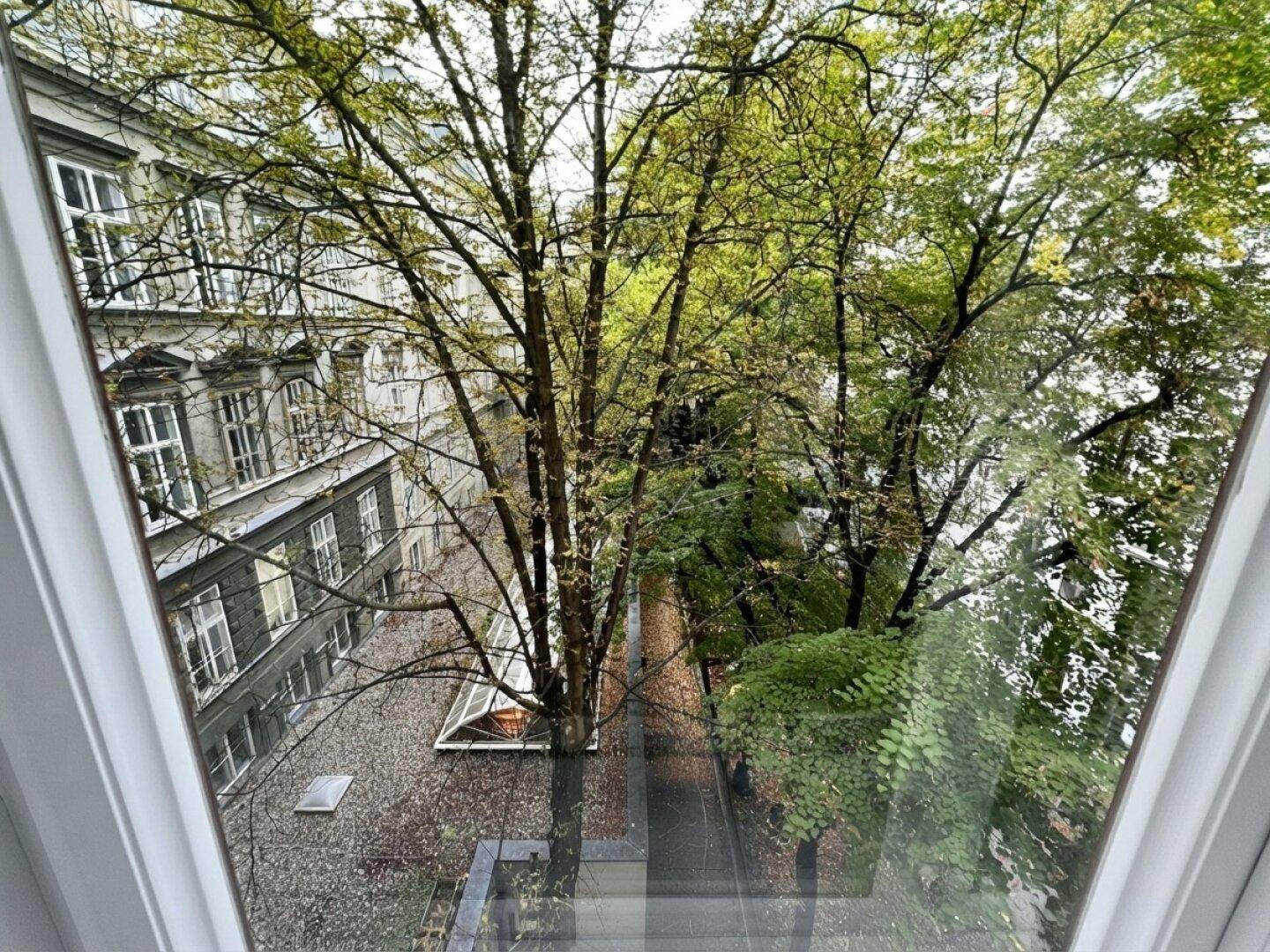 Ausblick Küche