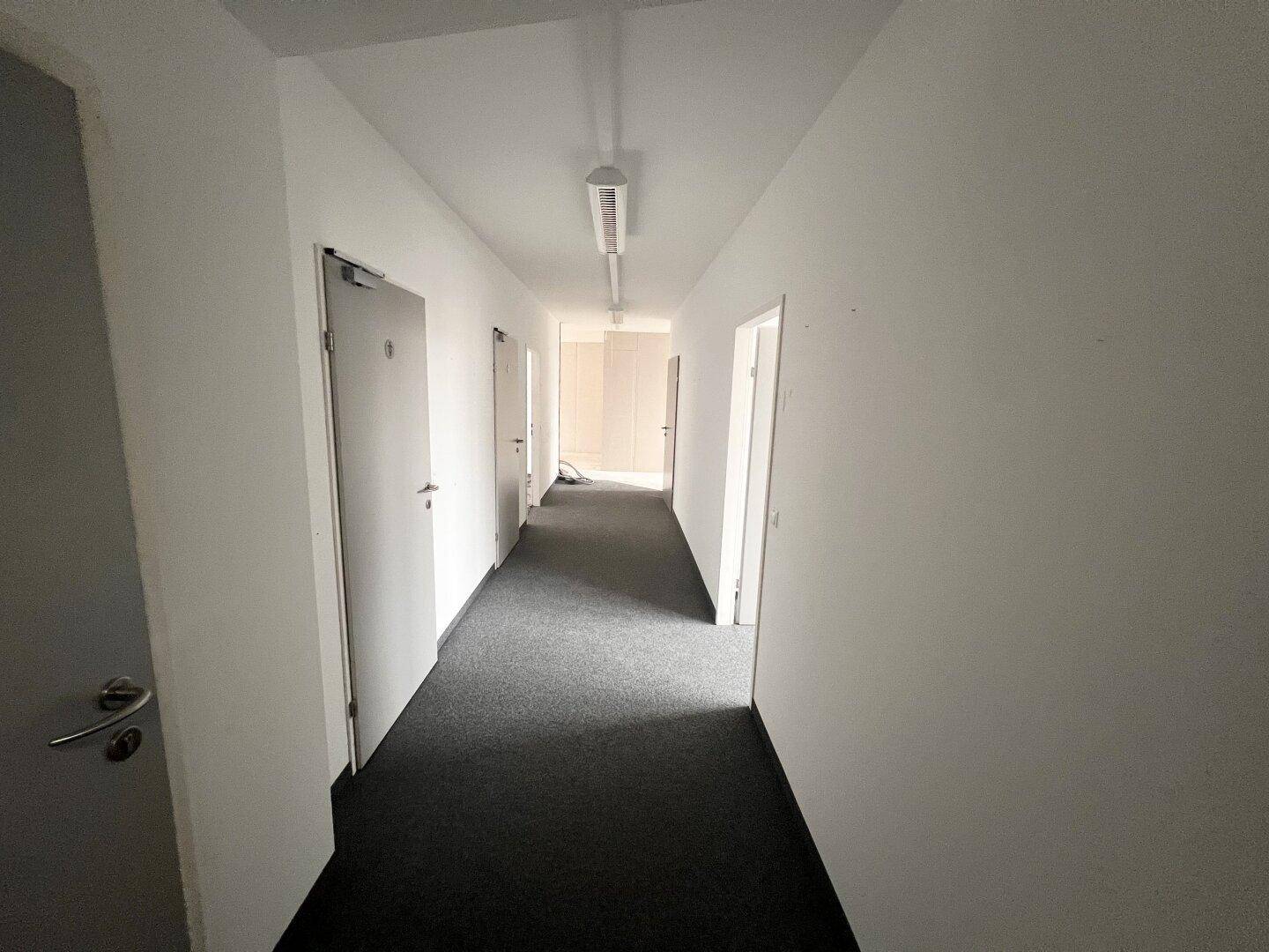 Langer, heller Flur mit Teppichboden und mehreren Türen zu den Büroräumen.