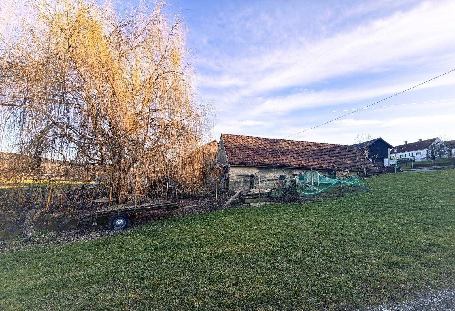 Einfamilienhaus mit Entwicklungspotenzial auf großzügigem Grundstück inklusive Landwirtschaftsflächen und Wald - Widok 5