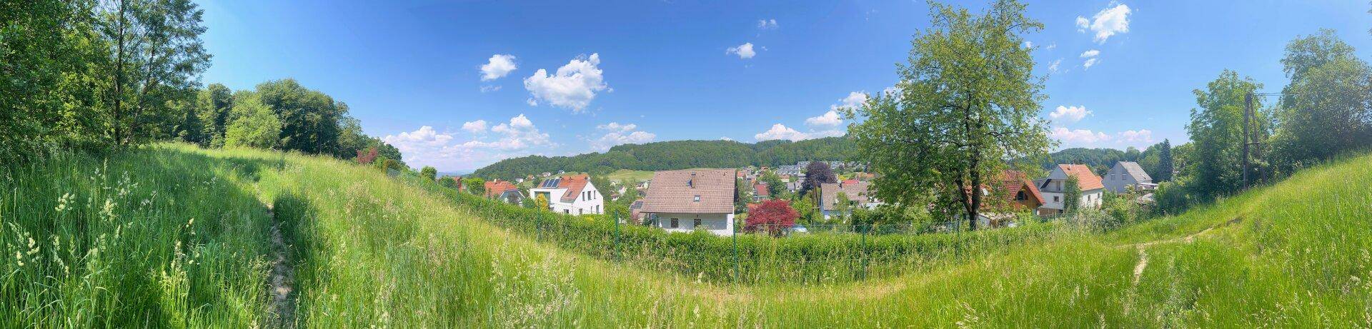 Panoramaaufnahme einer weiten grünen Wiese mit Blick auf eine ländliche Siedlung und bewaldete Hügel unter strahlend blauem Himmel.