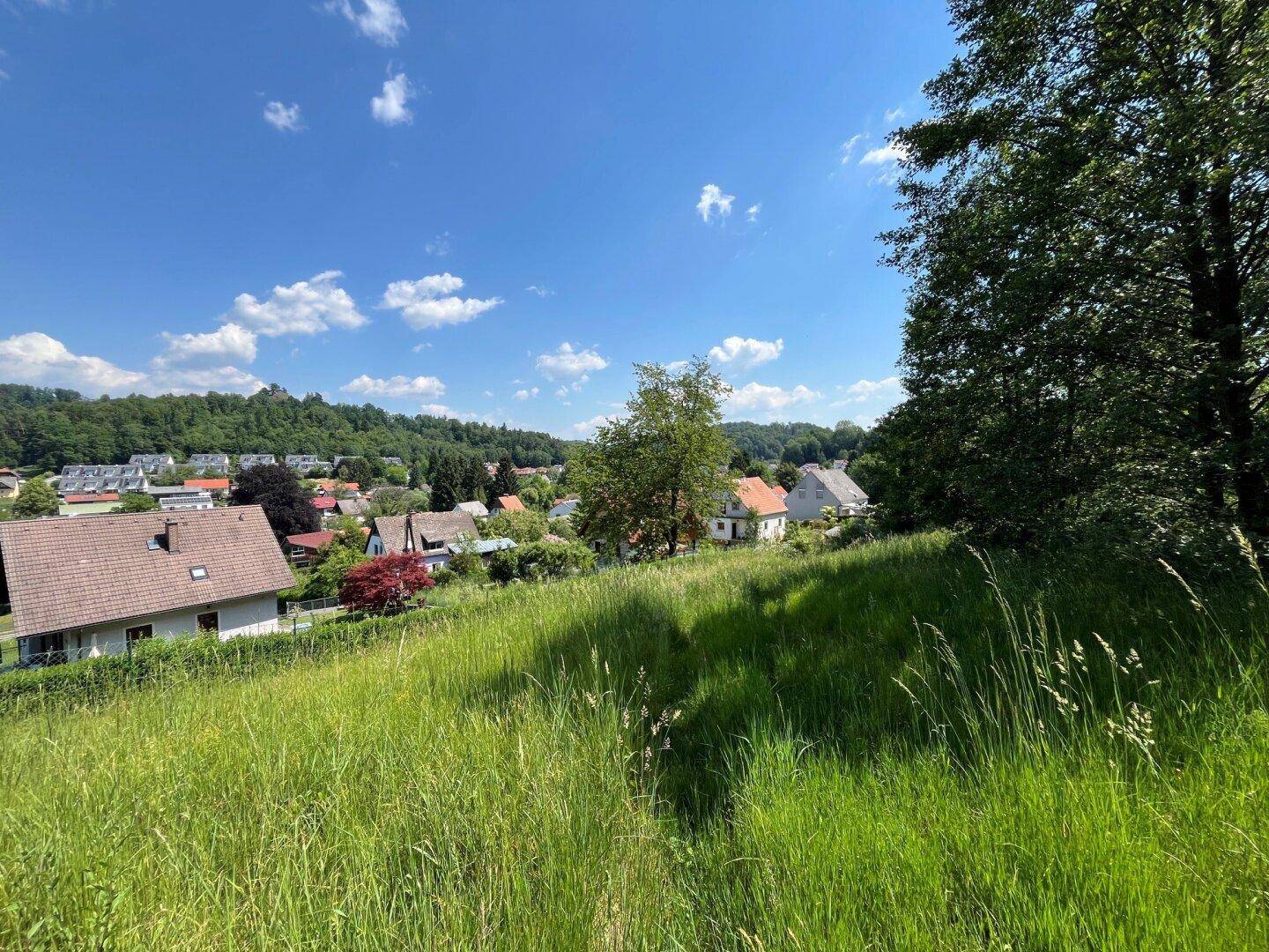 Malerische Aussicht von einer hohen Wiese auf eine Siedlung, umgeben von Bäumen und einer hügeligen Landschaft.
