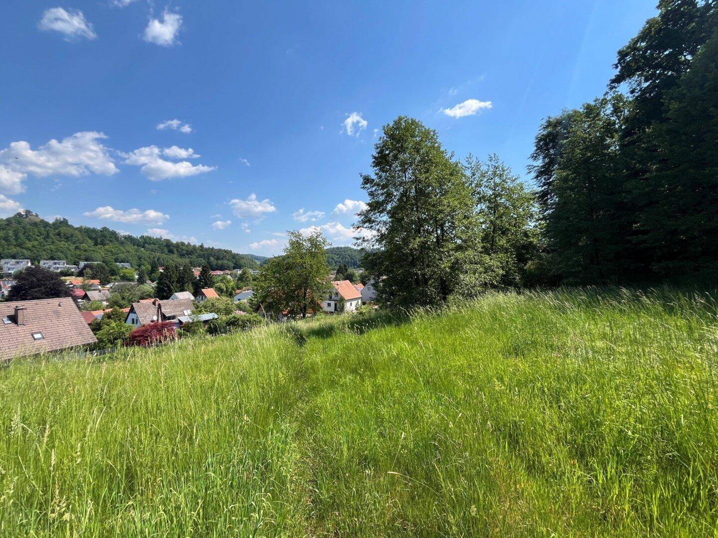 Sonniger Ausblick von einer Wiese auf ein Dorf mit Häusern und einer Burgruine auf einem bewaldeten Hügel.