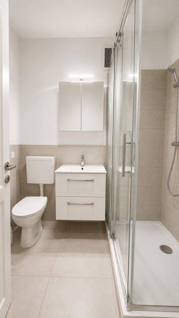 Modernes Badezimmer mit Toilette, Einzelwaschbecken, Spiegelschrank und begehbarer Dusche.