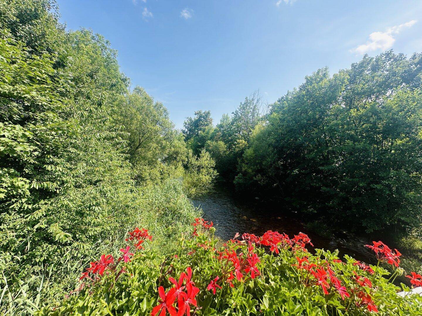 Idyllischer Flussblick mit roten Blumen im Vordergrund, umgeben von dichtem Grün und Bäumen.