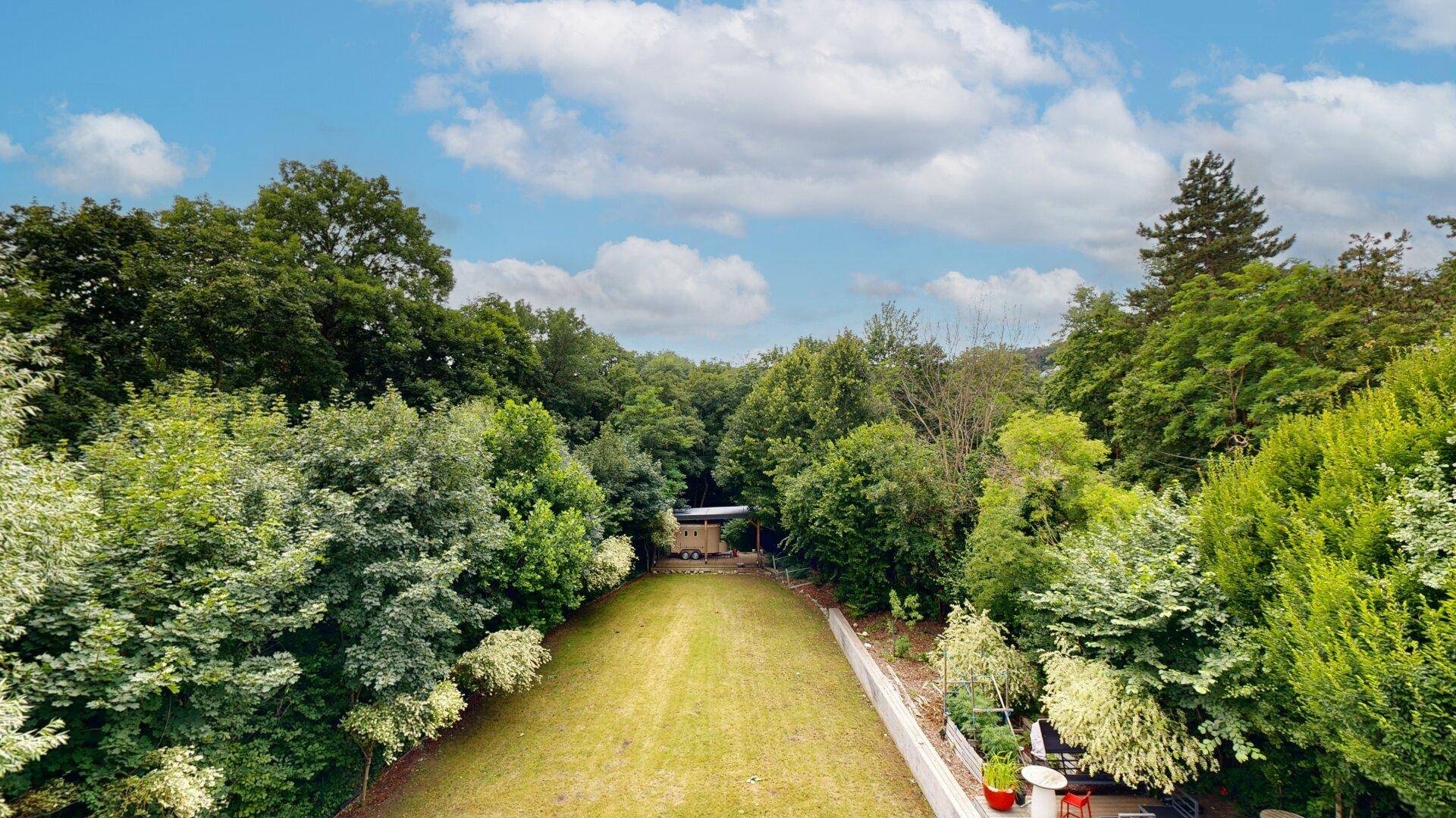 Weitläufiger, gepflegter Gartenbereich mit Rasenfläche, umgeben von dichtem Baumbestand.