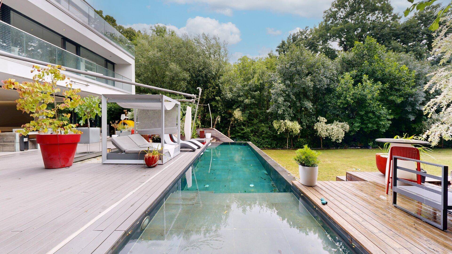 Elegante Terrasse mit langem Pool, Liegeflächen und umgebendem Grün.