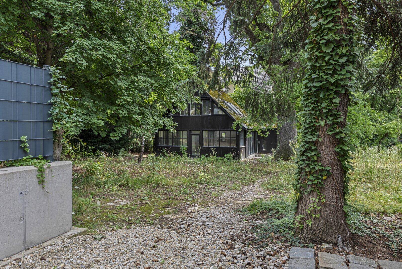 Naturbelassener Gartenbereich mit einem dunklen Holzhaus im Hintergrund, umgeben von Bäumen.
