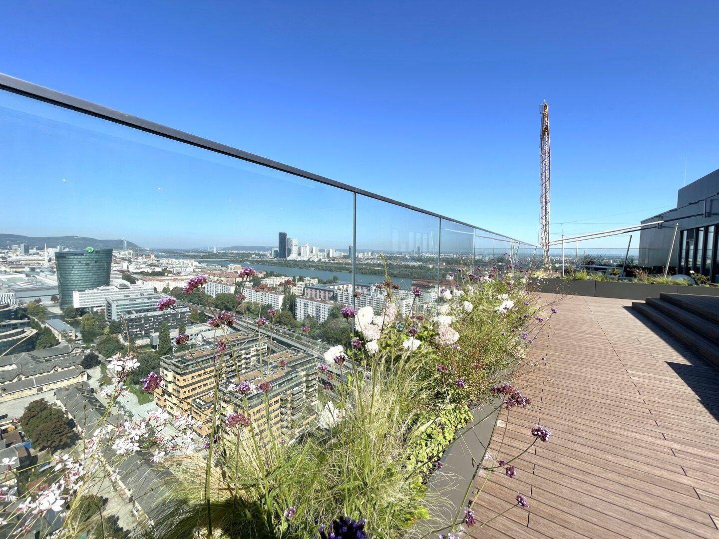Begrünte Dachterrasse mit Blumenbeeten und weitem Blick über die Stadt unter blauem Himmel.