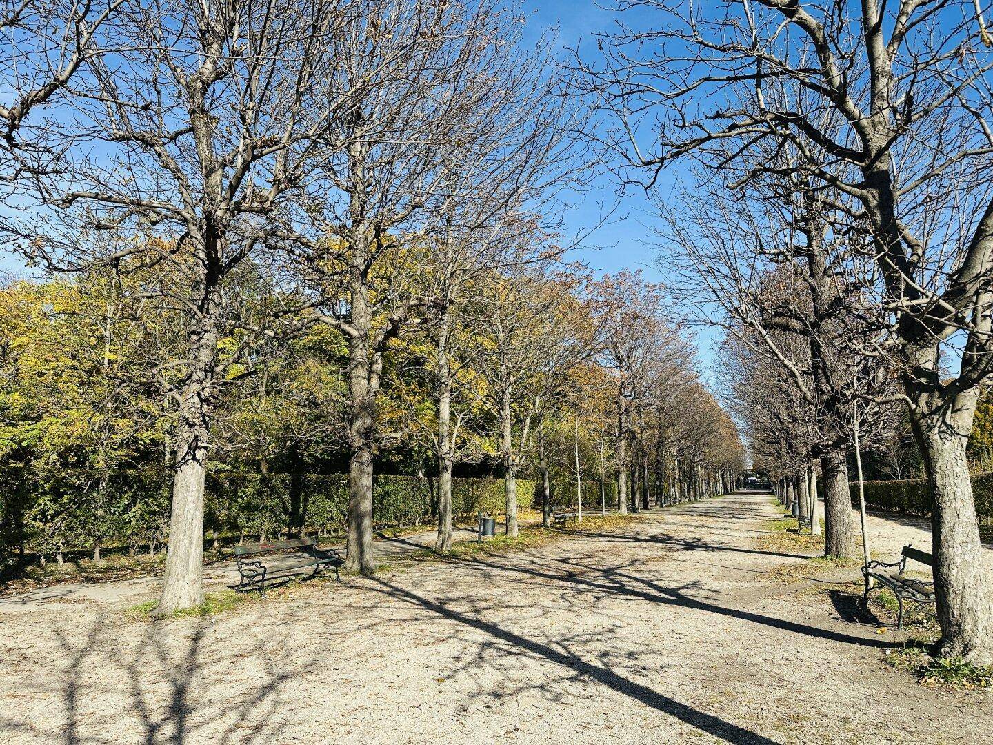 JETZT ZUGREIFEN IHRE CHANCE IM 2. BEZIRK! Traumhafte 3-Zimmer-Wohnung mit Top-Lage beim Prater &amp; Augarten – Sofort verfügbar! - Mehr
