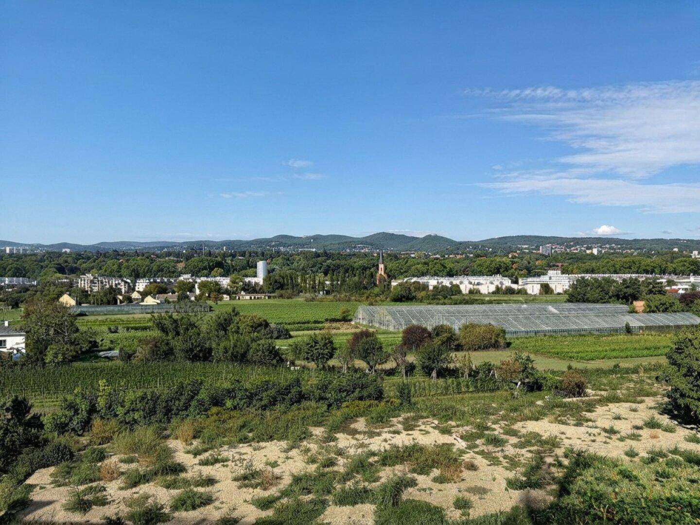 Breiter Ausblick über landwirtschaftliche Flächen, Gewächshäuser und eine hügelige Landschaft.