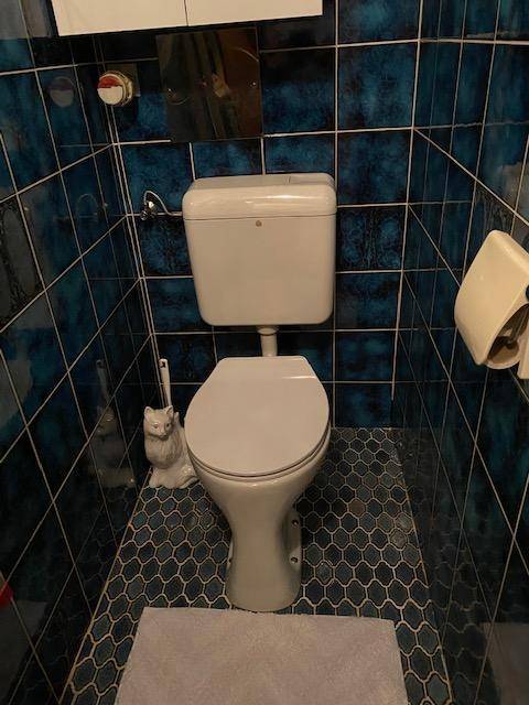 Separate Toilette mit blauen Fliesen, weißer Keramik und einem kleinen Fenster.