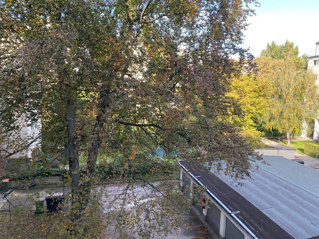 Blick aus dem Fenster auf grüne Bäume und ein Garagendach an einem sonnigen Tag.