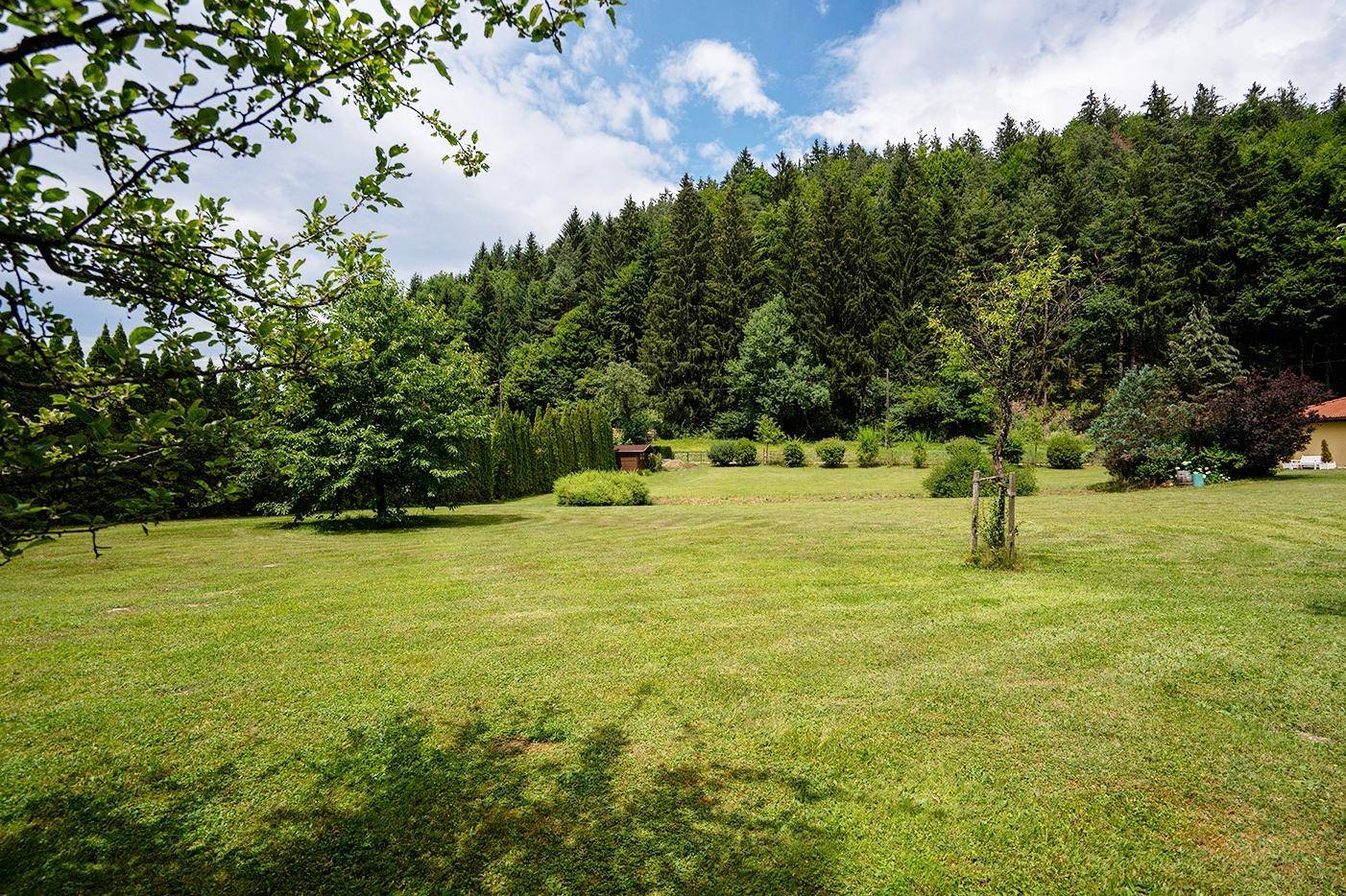 Idyllischer, weitläufiger Garten mit altem Baumbestand und viel Grünfläche, umgeben von Wald.