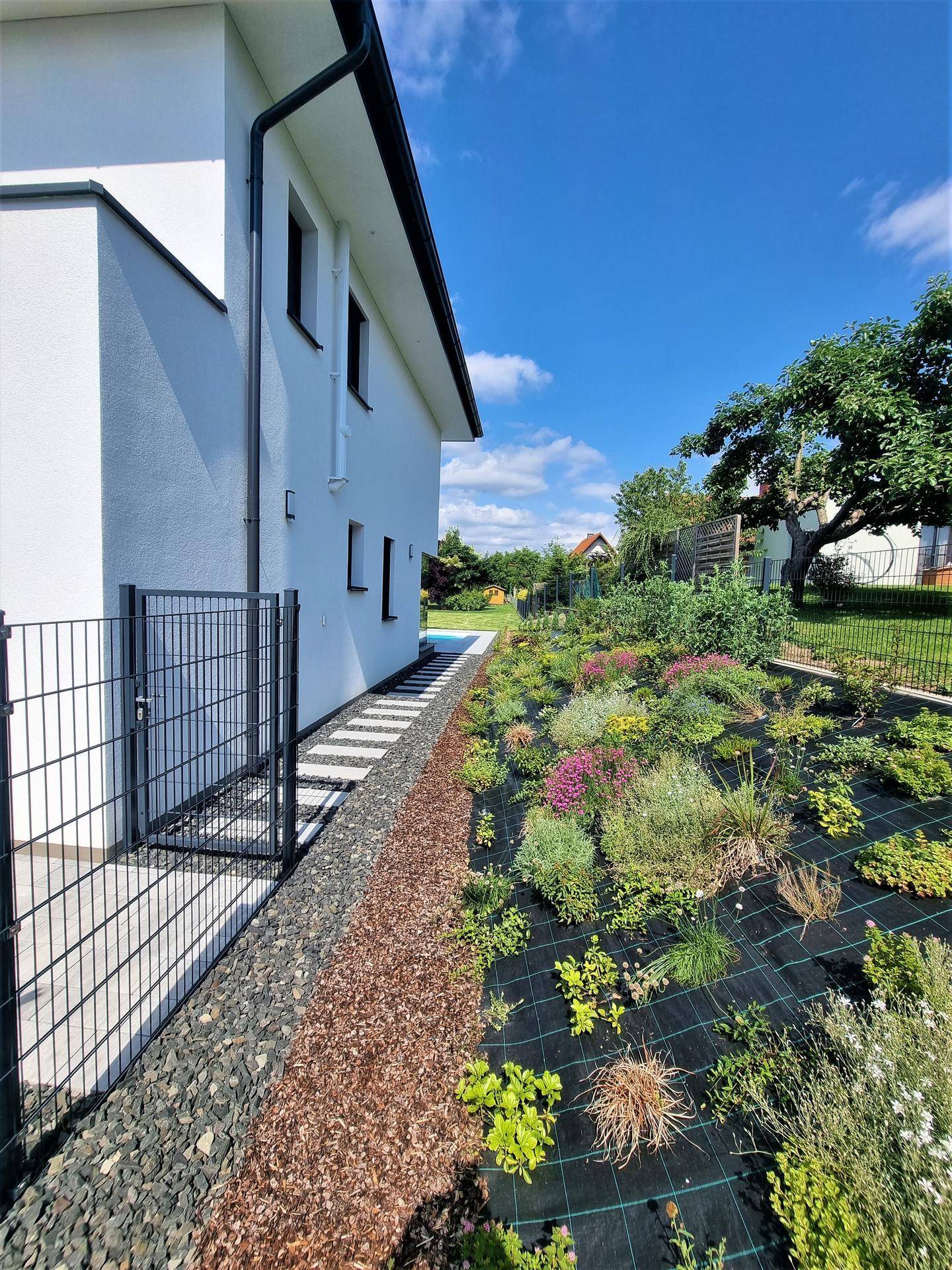 Seitlicher Gartenweg entlang des Hauses mit vielfältiger Bepflanzung und Zaun.