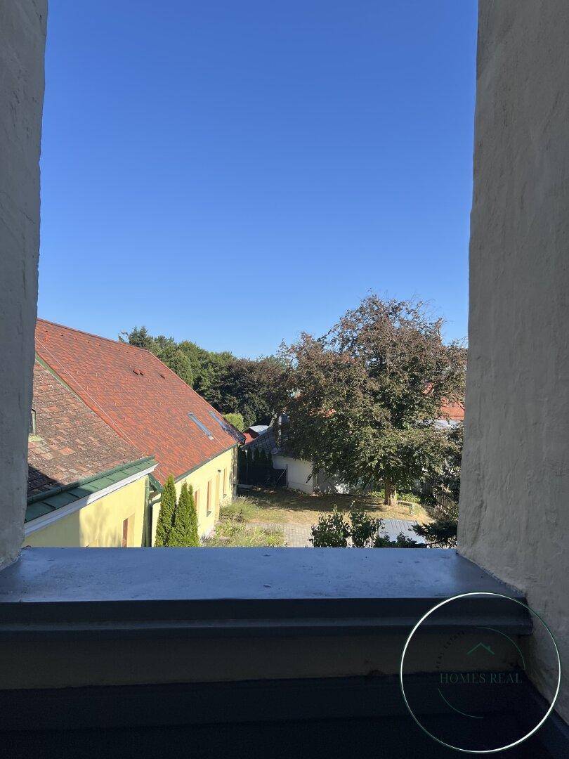 Weitblick über Dächer und grüne Bäume unter blauem Himmel.
