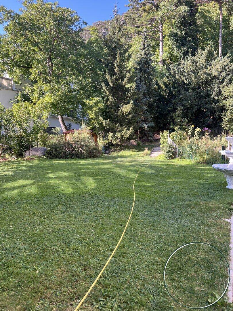 Großer, gepflegter Rasenbereich mit Bäumen und viel Grün im Garten.