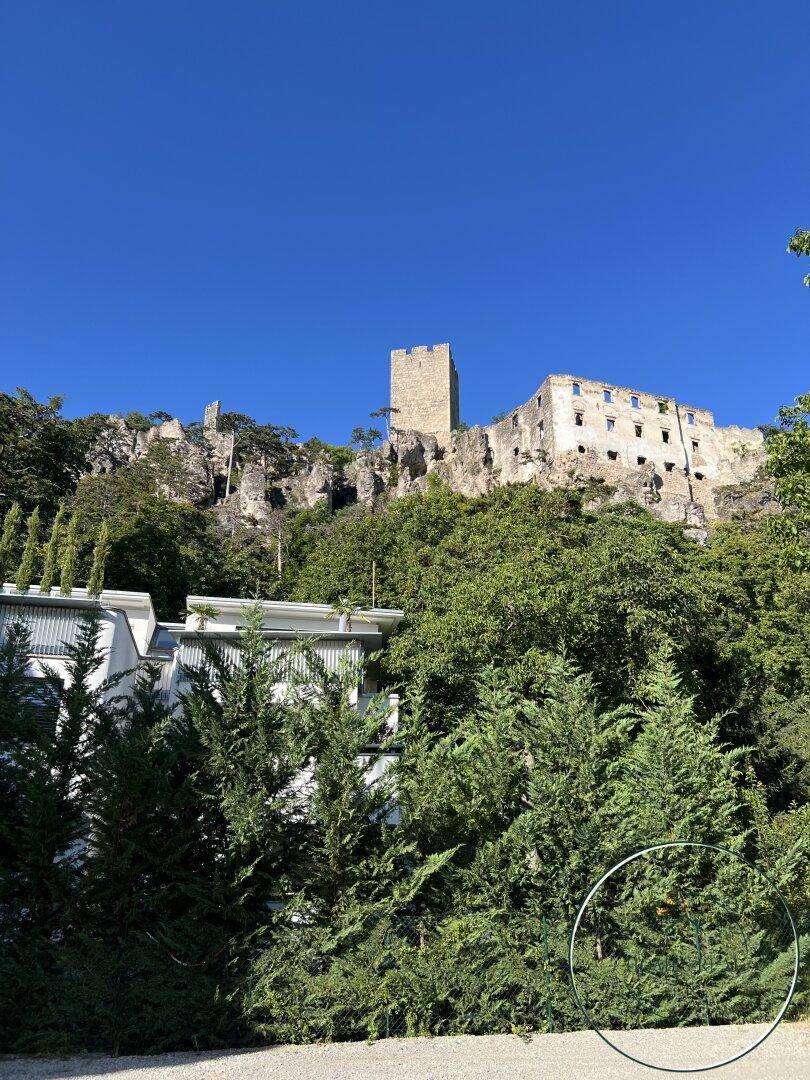 Historische Burgruine auf einem Hügel, umgeben von dichtem Wald.