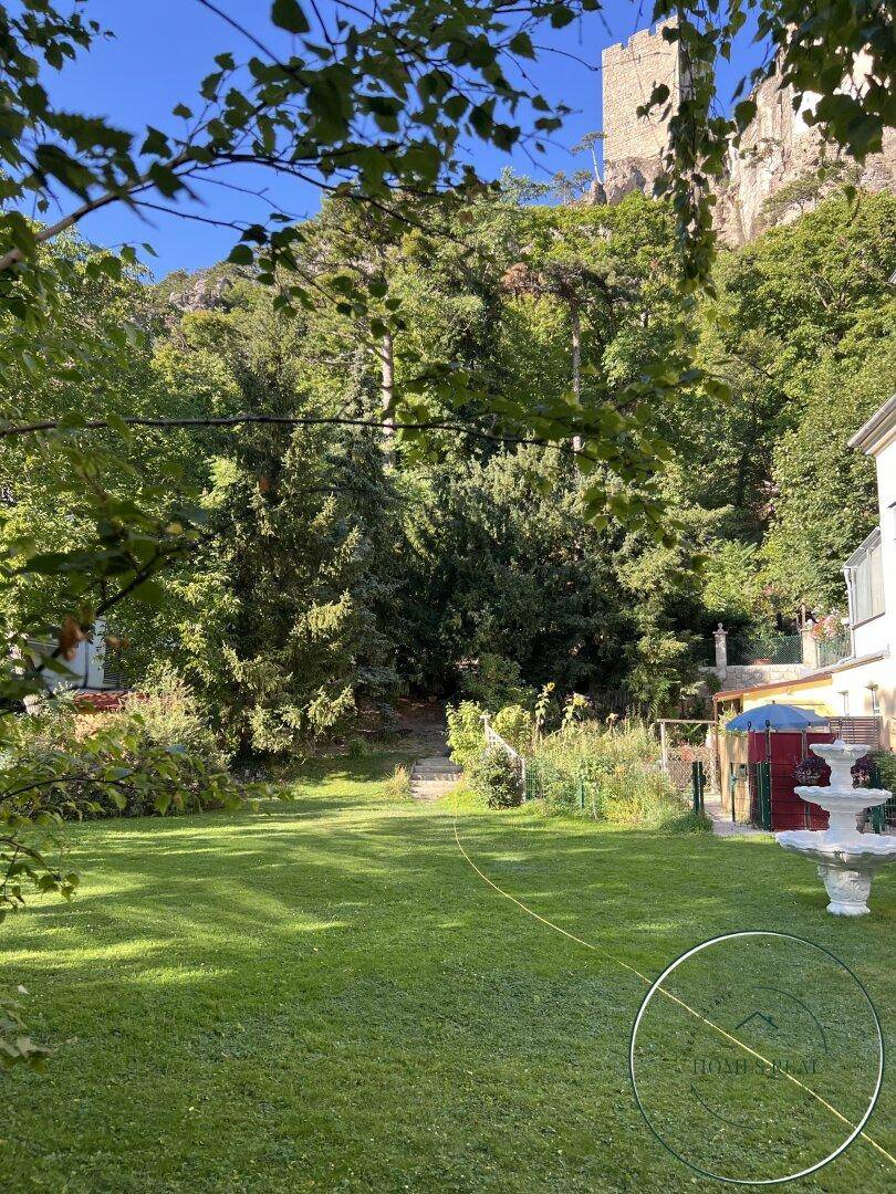 Sonniger Garten mit Rasenfläche, Bäumen und Blick auf die Burgruine.