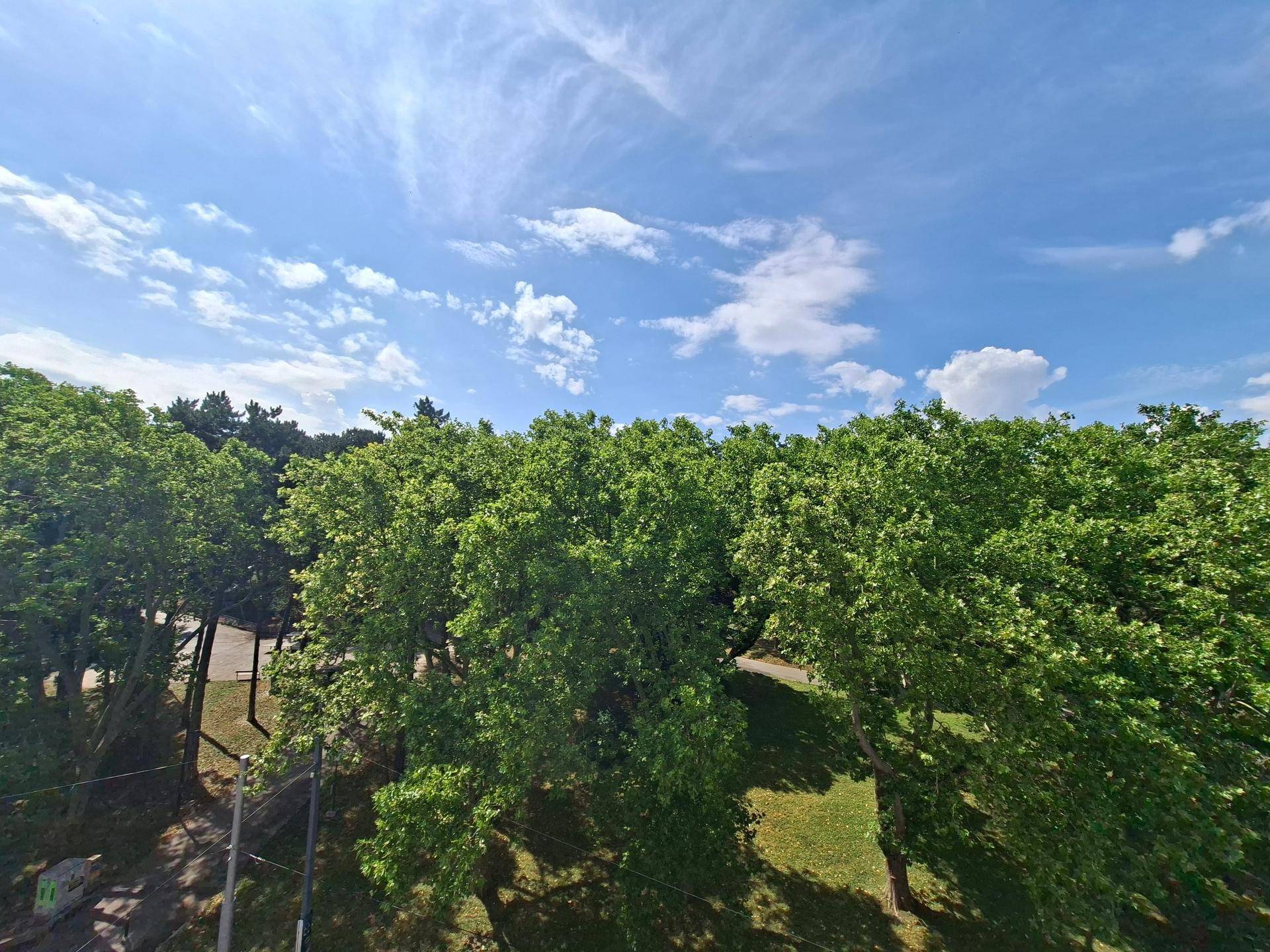 Blick ins Grüne mit vielen Bäumen und einem strahlend blauen Himmel.