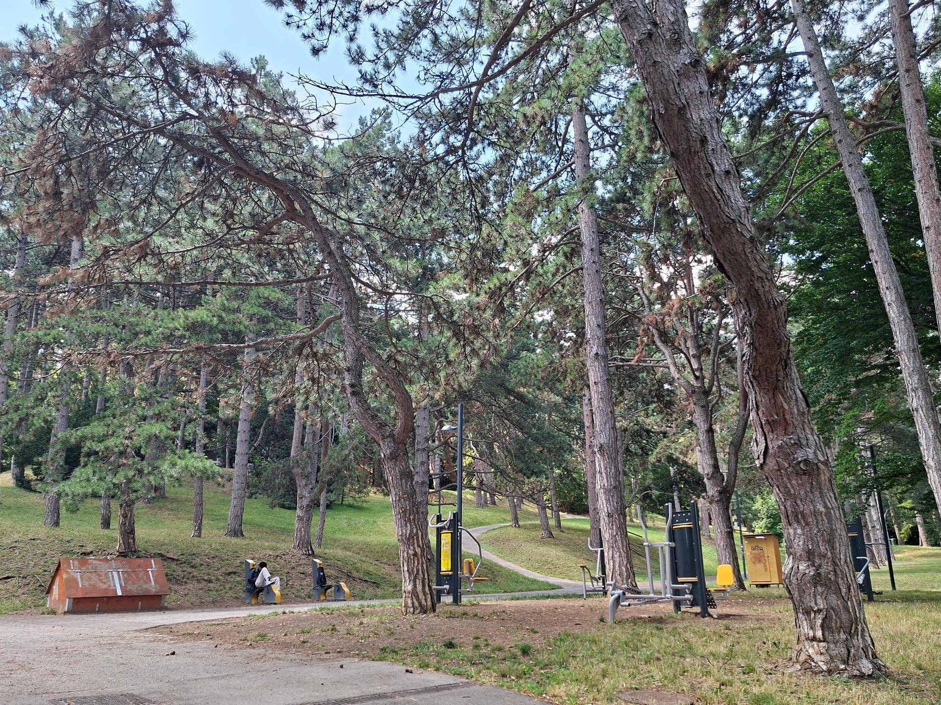 Grüne Parkanlage mit hohen Bäumen und Outdoor-Fitnessgeräten.