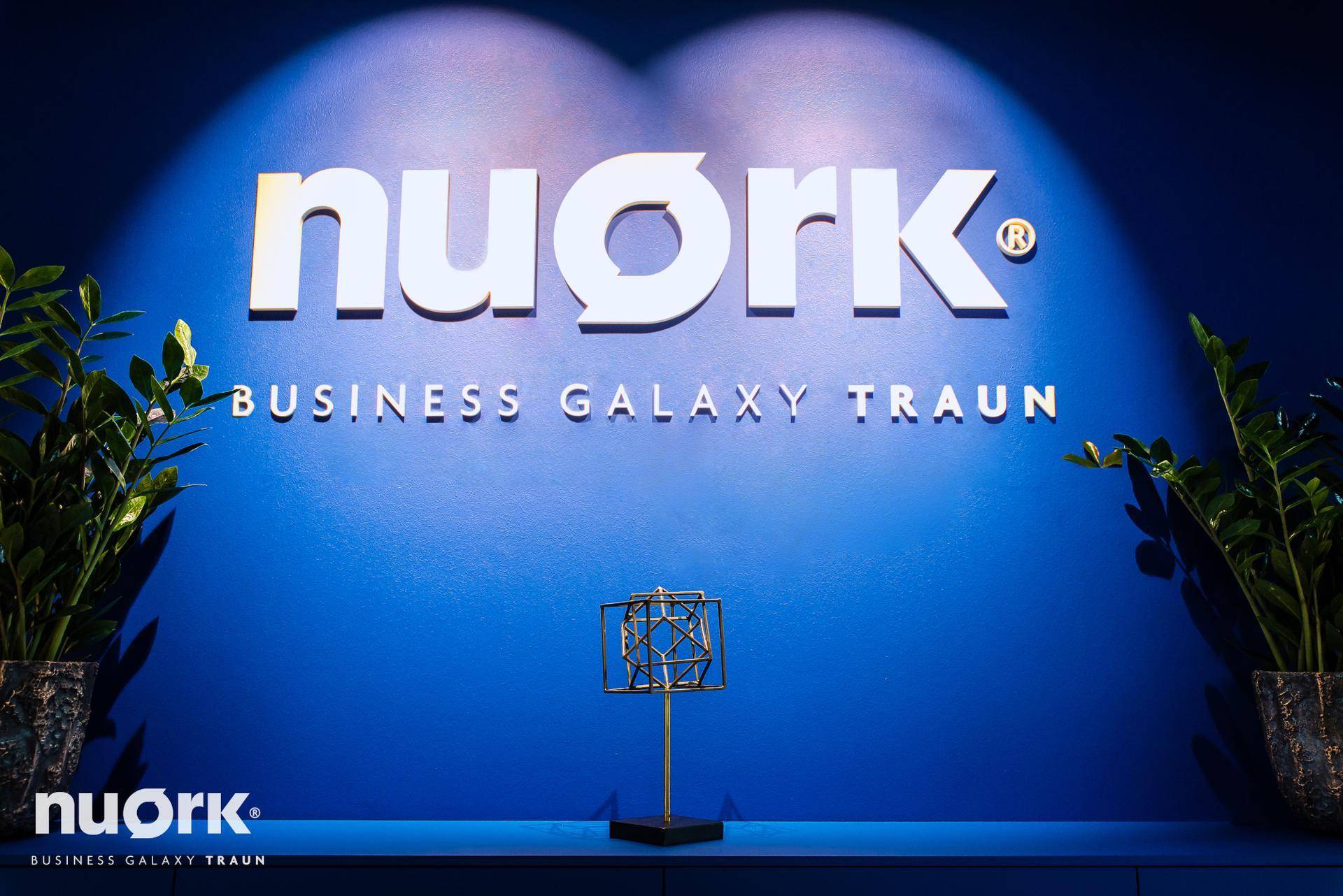 Blaue Wand mit beleuchtetem "nuork"-Logo und dekorativen Pflanzen, die eine einladende Atmosphäre schaffen.