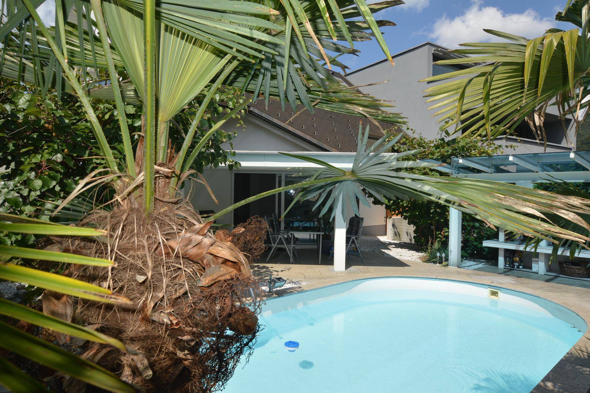 Exotischer Poolbereich mit Palmen und Blick auf die Hausfassade.