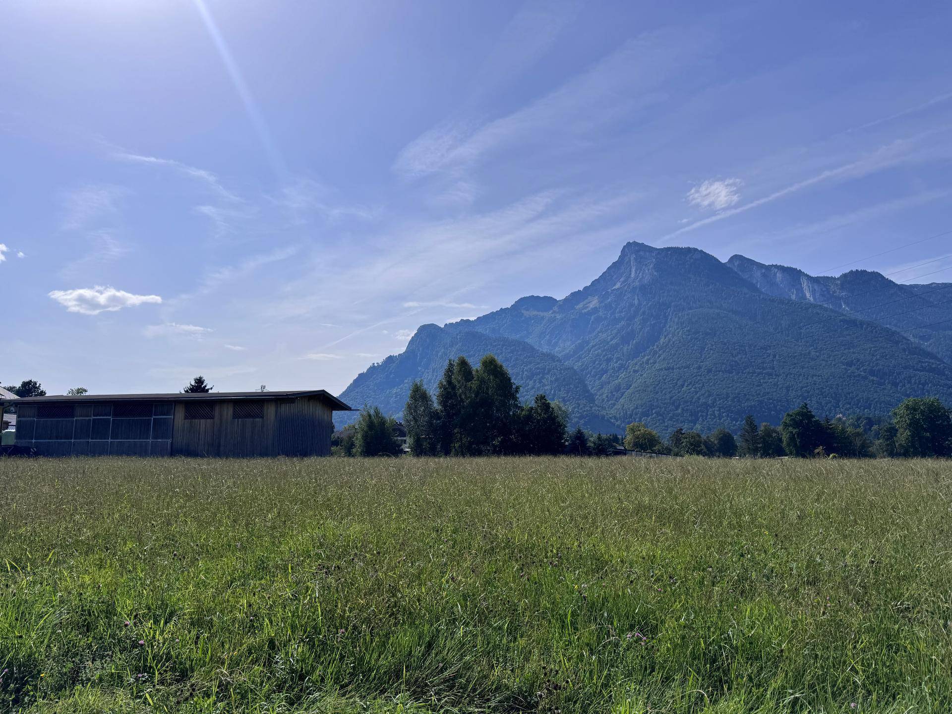 Idylle Leopoldskron Moos - Baugrundstück mit Altbestand - Ansicht 2