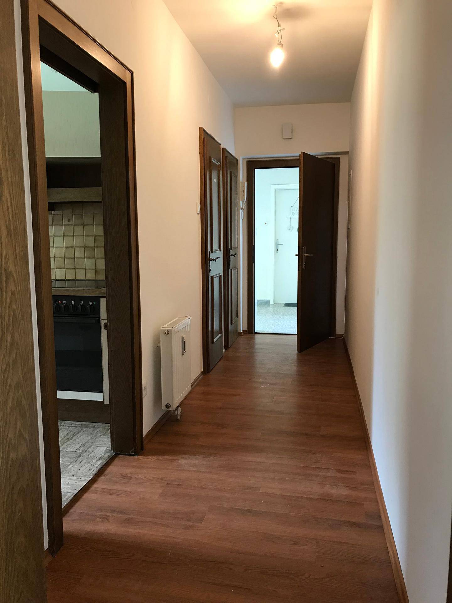 Langer Flur mit Holzfußboden, weißen Wänden und mehreren dunklen Holztüren zu angrenzenden Räumen.