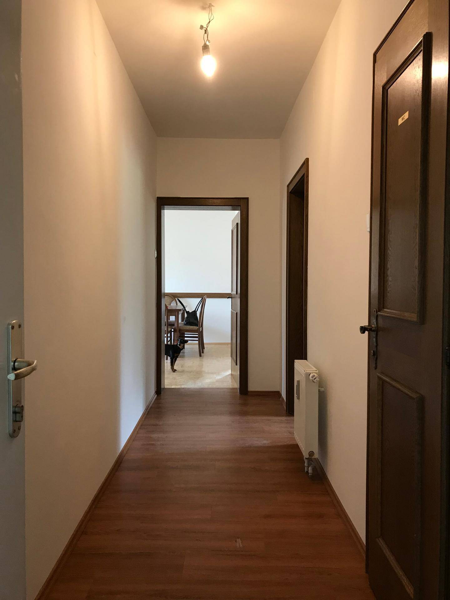 Heller Flur mit Laminatboden und Blick in einen weiteren Raum, der einen Essbereich andeutet.