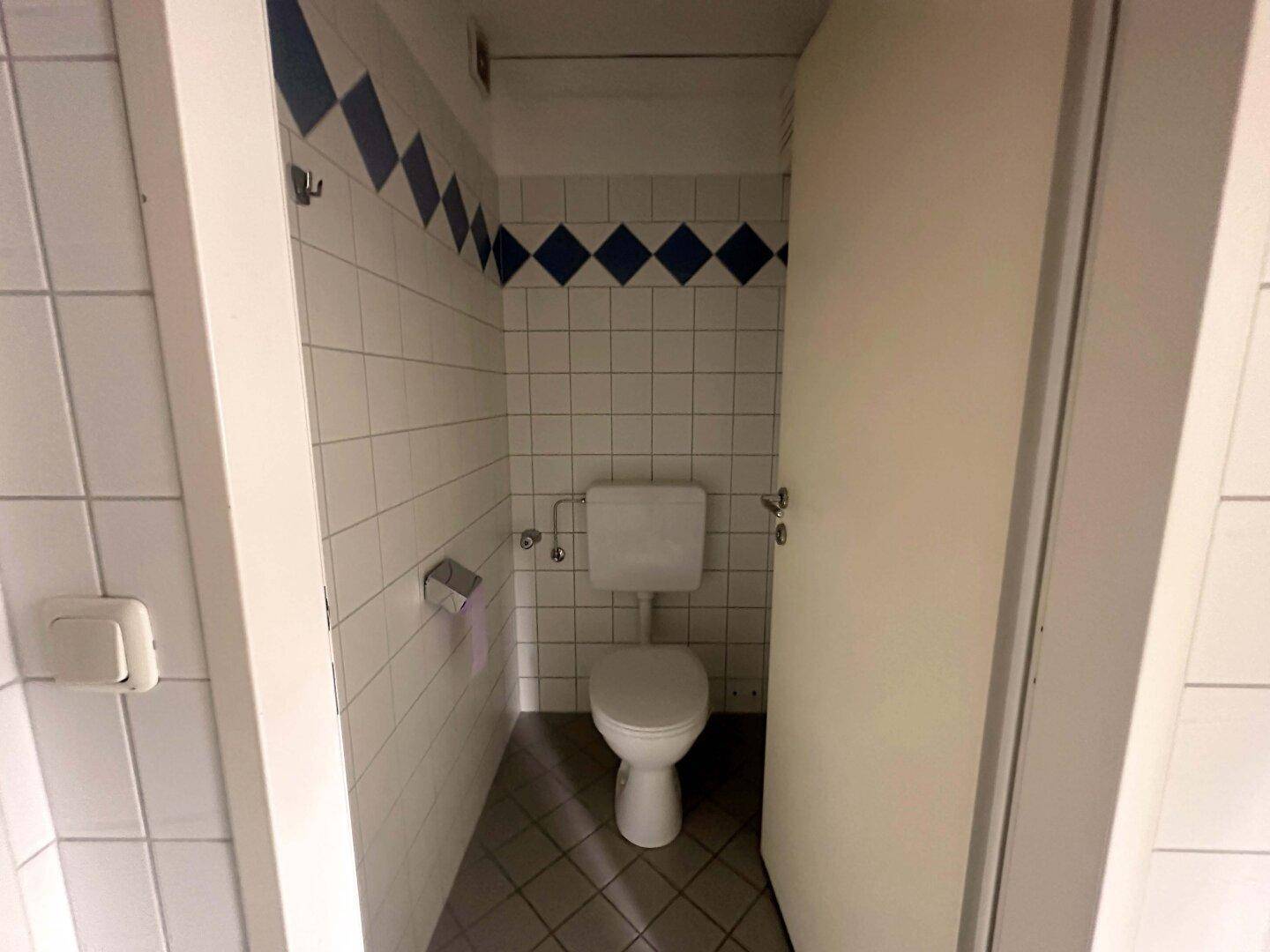 Separate Toilette mit weißer Keramik und weiß-blauen Fliesen, die einen funktionalen Raum bilden.