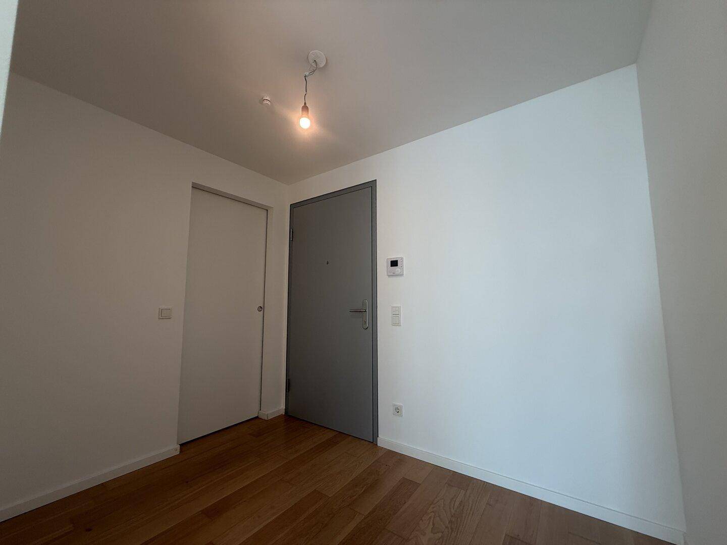 Heller Eingangsbereich mit Holzboden und moderner grauer Eingangstür.