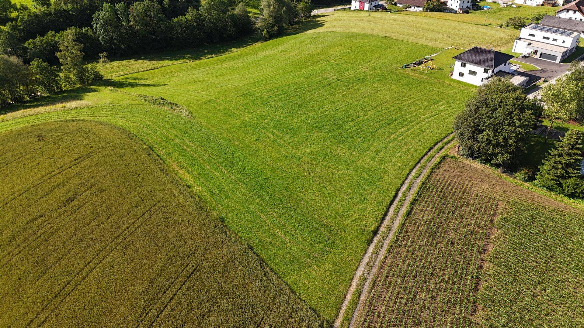Detailreiche Luftaufnahme von landwirtschaftlichen Feldern und einem angrenzenden Wohngebiet.