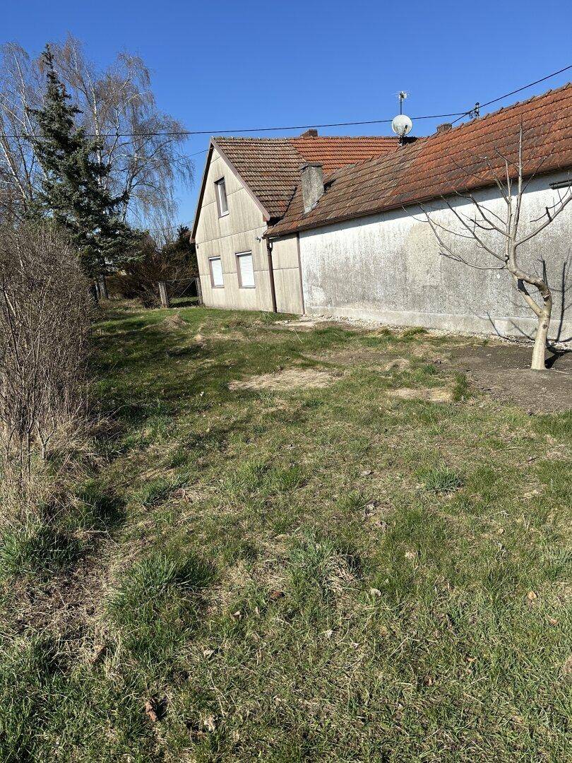 Blick auf den weitläufigen, grasbewachsenen Außenbereich neben dem Wohnhaus an einem sonnigen Tag.