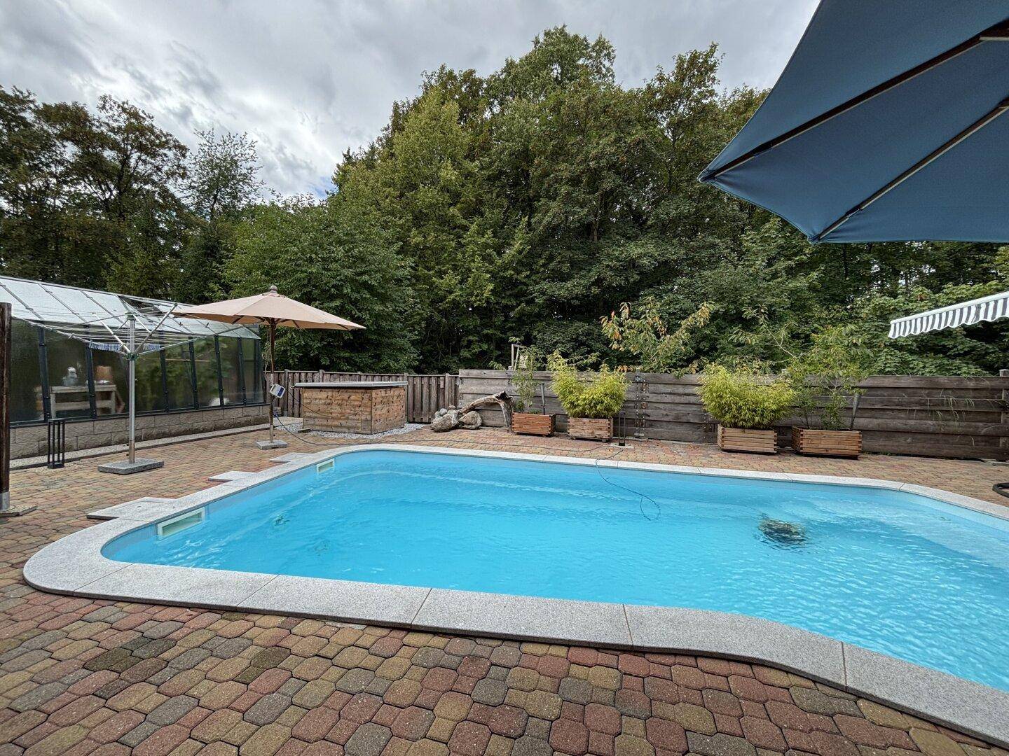Großer Außenbereich mit Pool, gepflasterter Fläche und umgebender Natur.