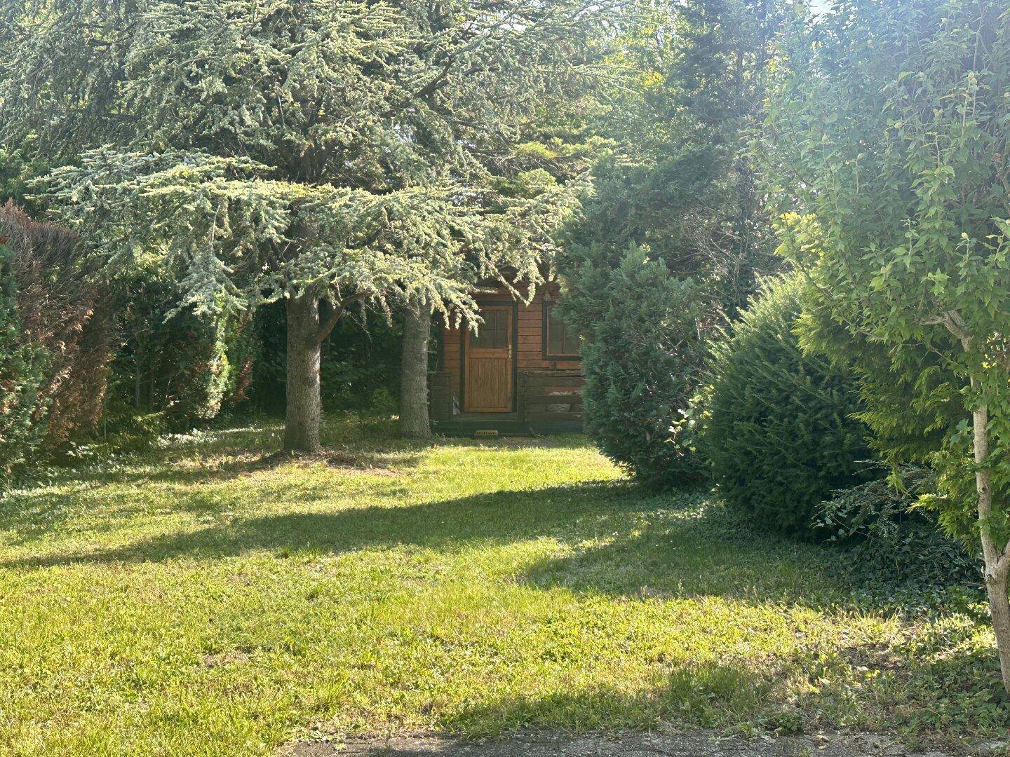Idyllischer Gartenbereich mit einem kleinen Holzschuppen, umgeben von hohen Bäumen und dichtem Grün.