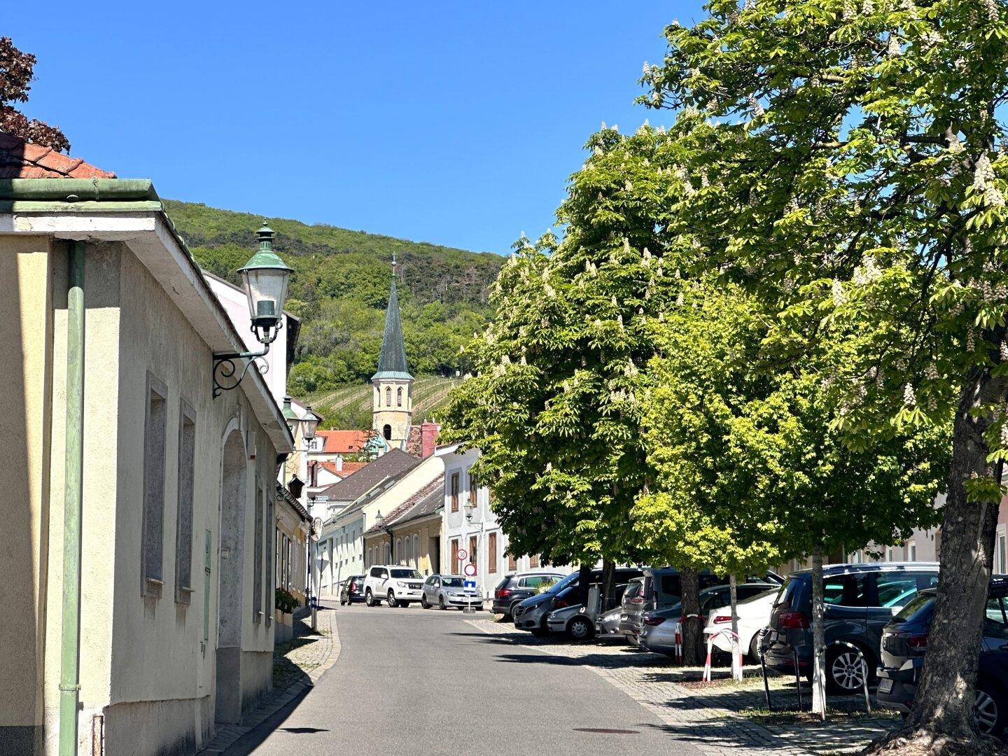 Malerische Dorfstraße mit geparkten Autos, alten Gebäuden und einem Kirchturm im Hintergrund.