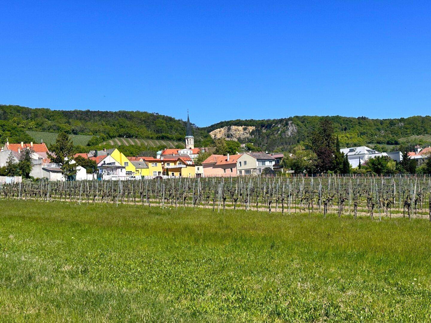 Weitläufige Landschaft mit Weinbergen im Vordergrund und einem charmanten Dorf am Fuße grüner Hügel.