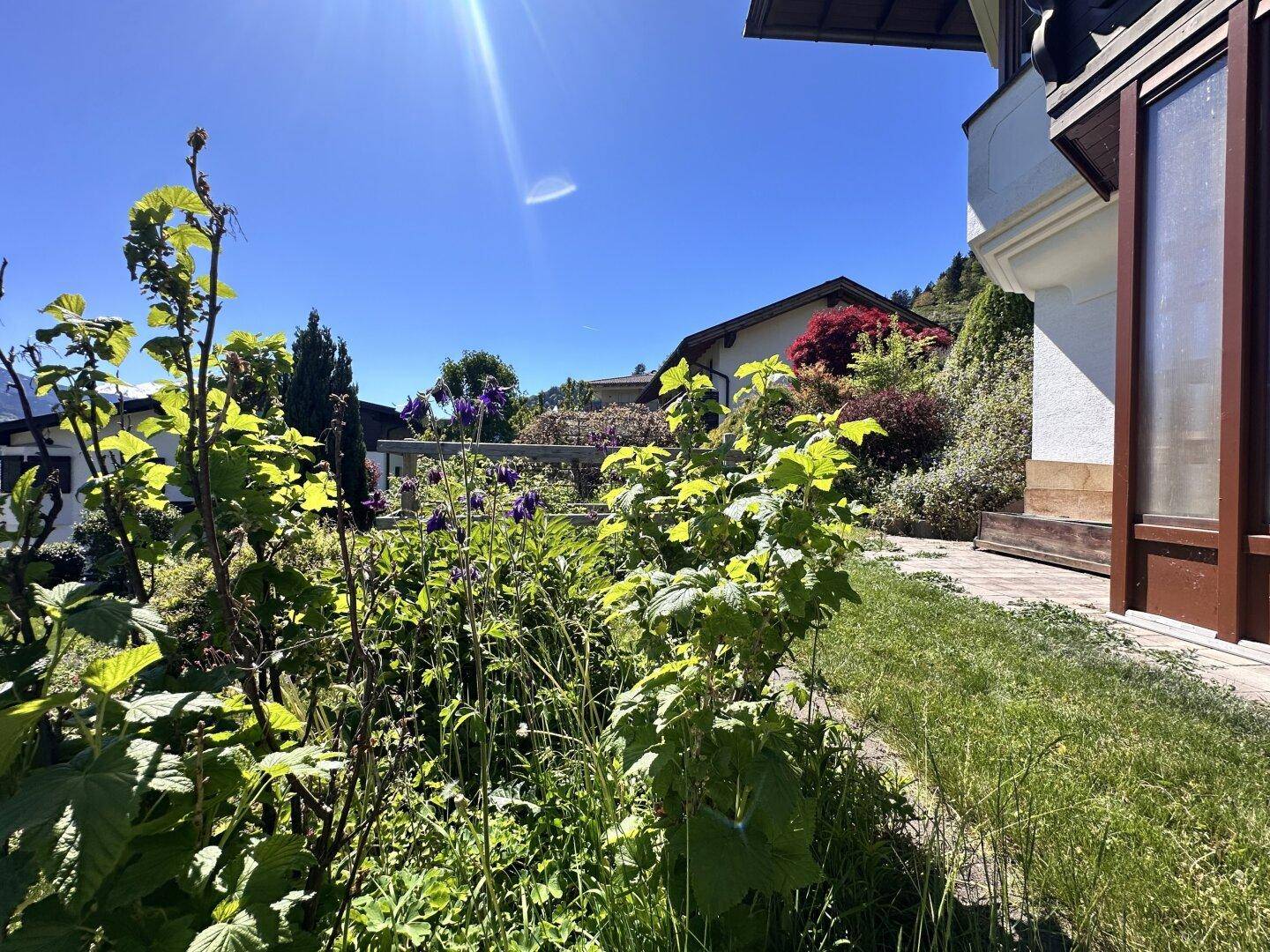 Sonnige Gartenanlage mit üppiger Vegetation und gepflegtem Rasen neben dem Haus.
