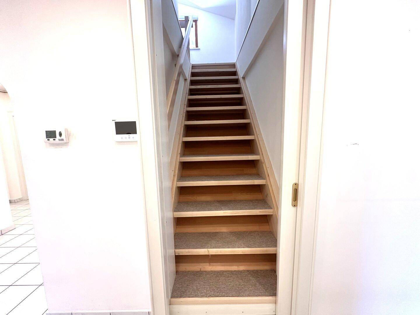Heller Treppenaufgang mit Holzstufen und Teppichbelag, der in die obere Etage führt.