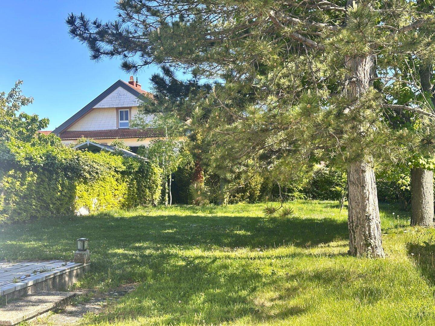 Weitläufiger Gartenbereich mit altem Baumbestand und einer sonnigen Rasenfläche hinter dem Haus.