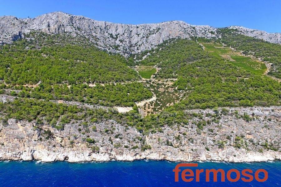 2029-67-003-2029-67-island-hvar-agricultural-plot-for-sale