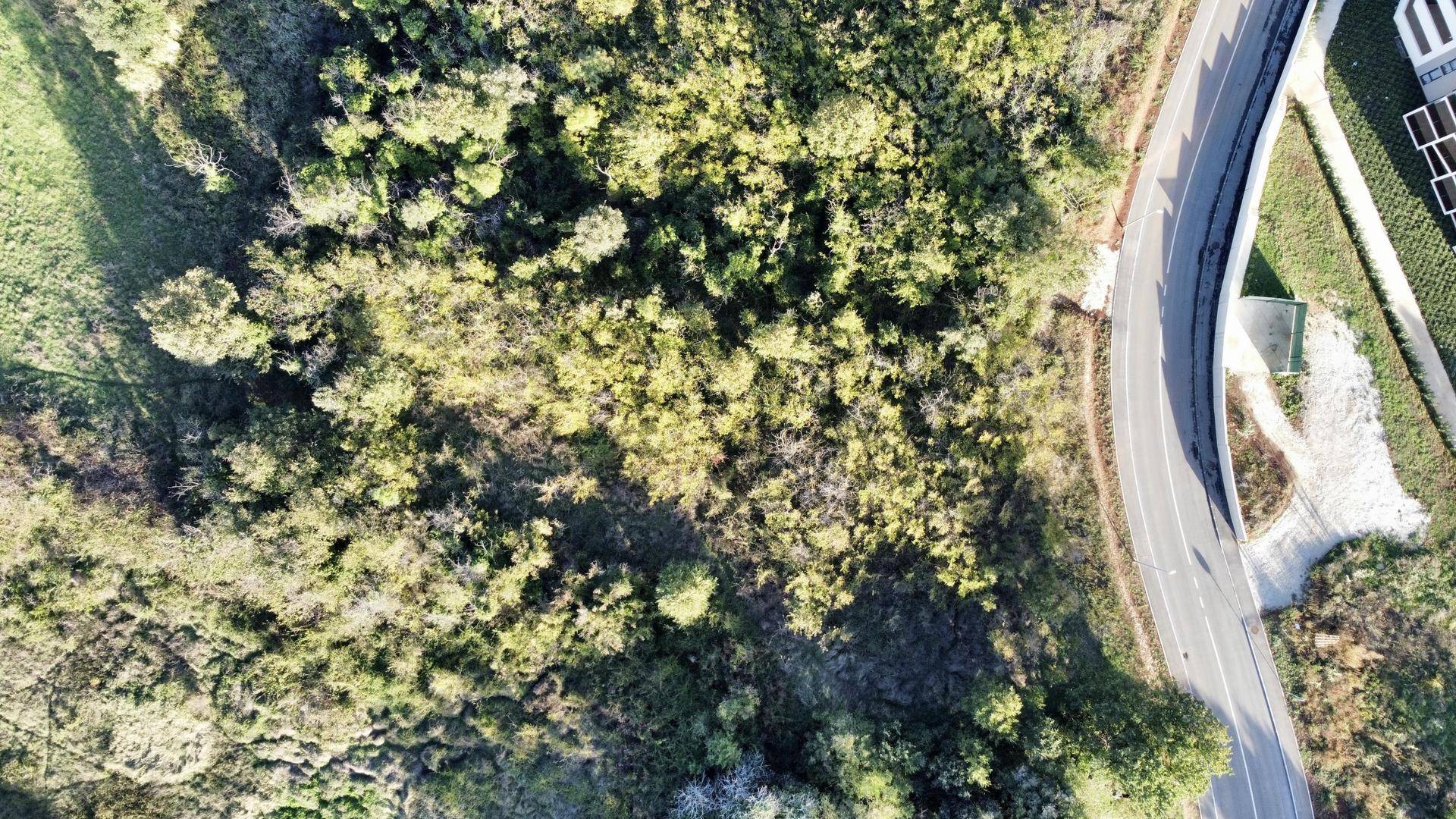 original_1699280462_dji_fly_20231104_151436_772_1699107324638_photo_optimized